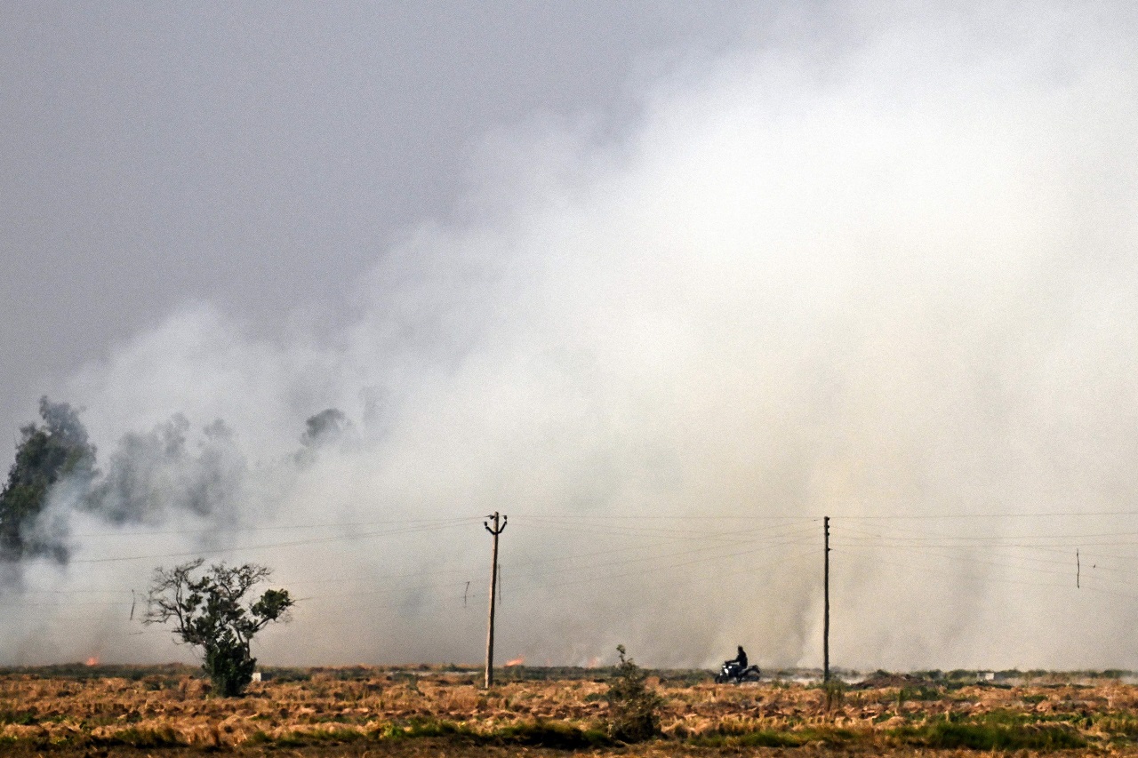 The city's air quality was last recorded in the 'poor' category on October 29 with an AQI of 268, according to the CPCB