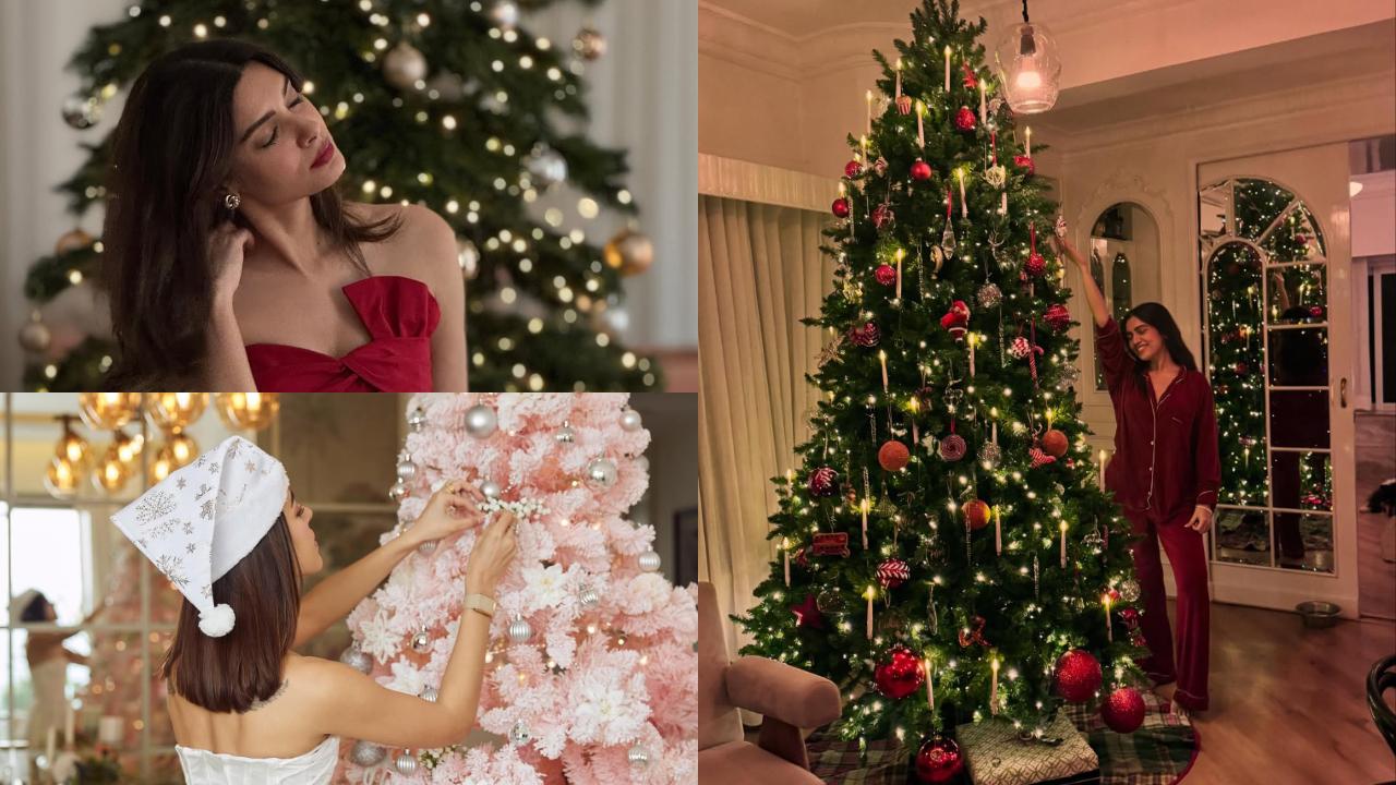 In Pics: Bhumi Pednekar to Alaya F, celebs give glimpse of their Christmas decor