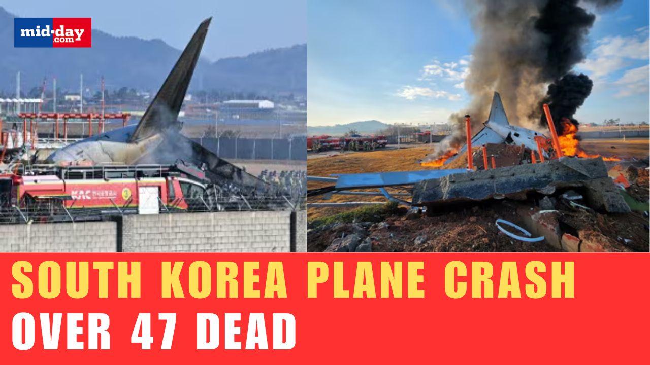 South Korea plane crash: Tragi incident kills over 47, Rescue ops underway