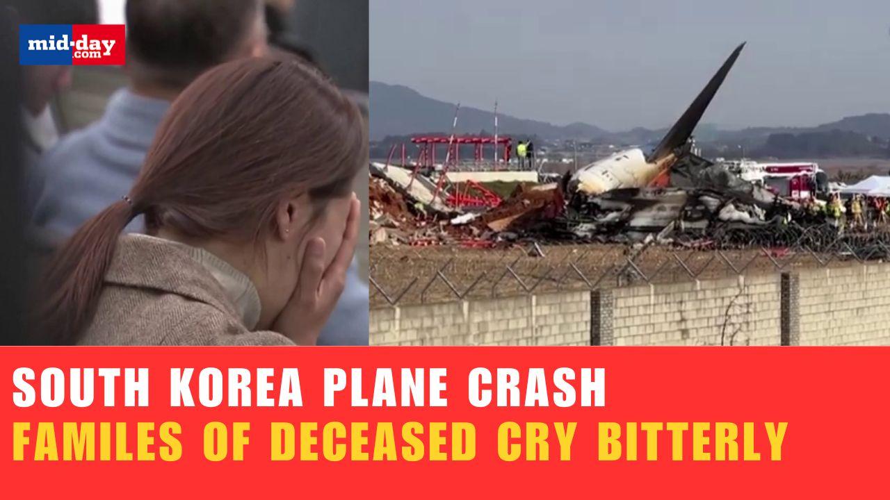 South Korea plane crash: Death toll rises above 120, Families cry in pain