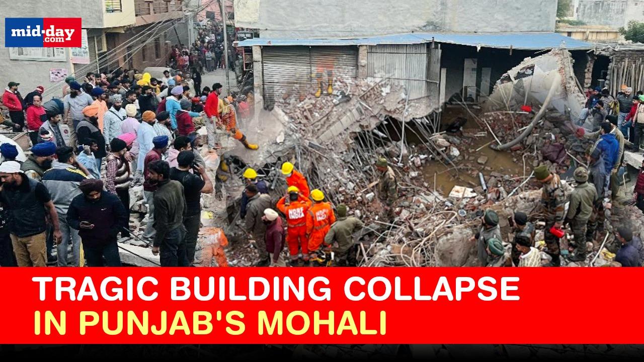 Multi-storey Building collapses in Punjab's Mohali, Search ops underway