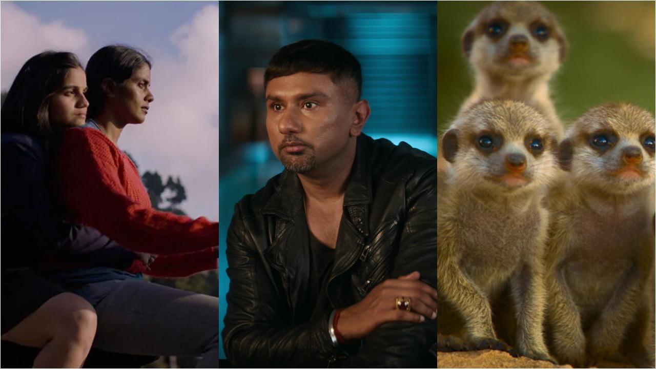 Latest OTT releases to watch this week on Netflix, Amazon Prime and Hotstar