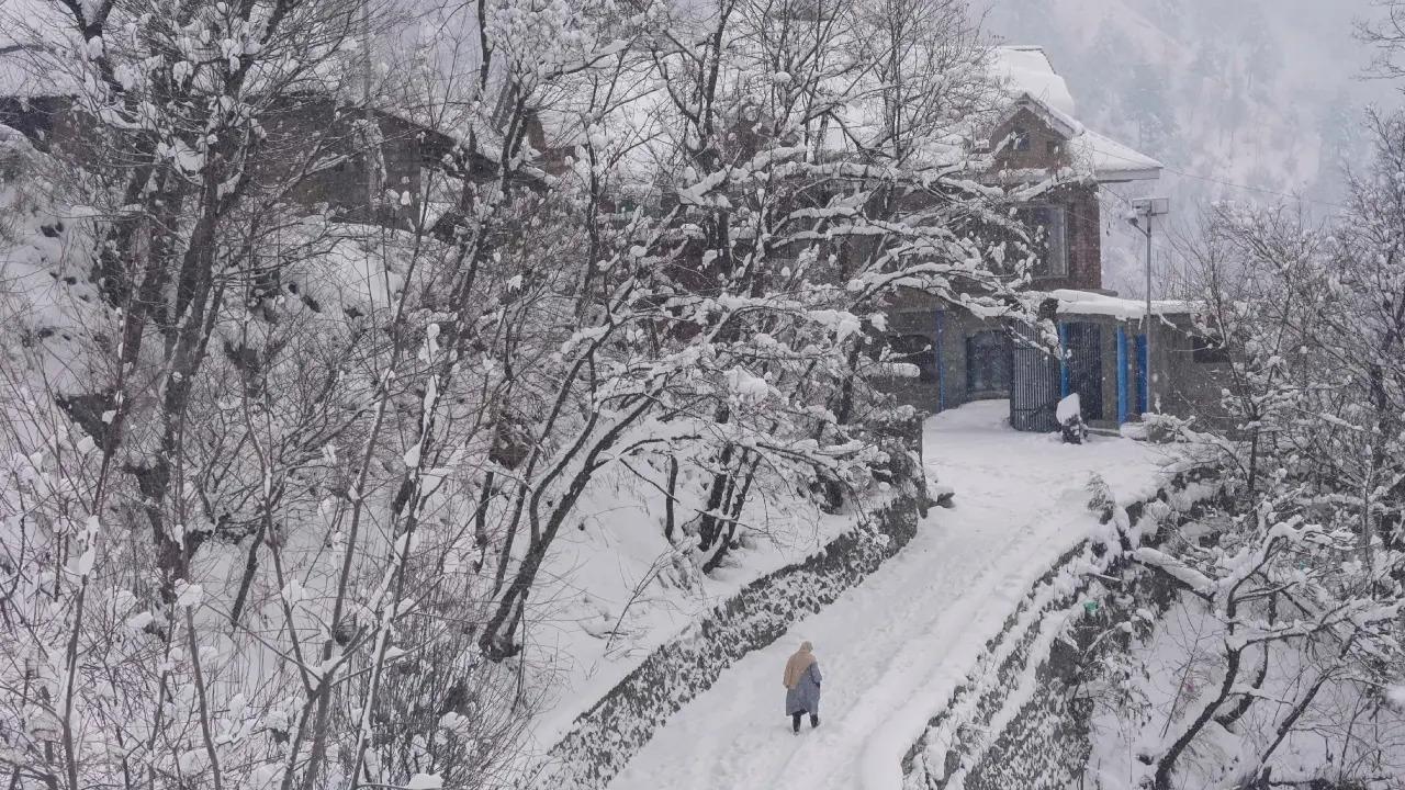 In a rare occurrence, Shimla sees season's first snowfall in early December