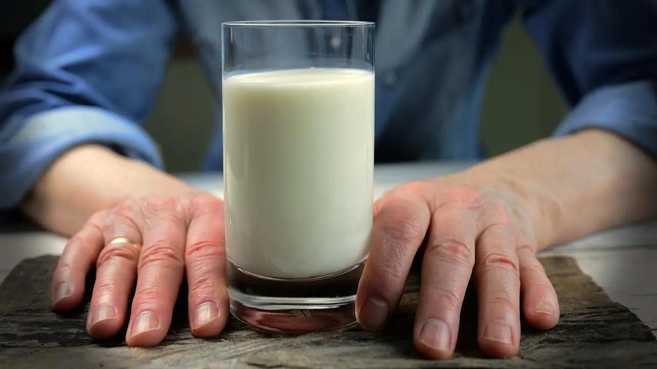 National Milk Day 2024: Can milk supplement Vitamin D in adults?