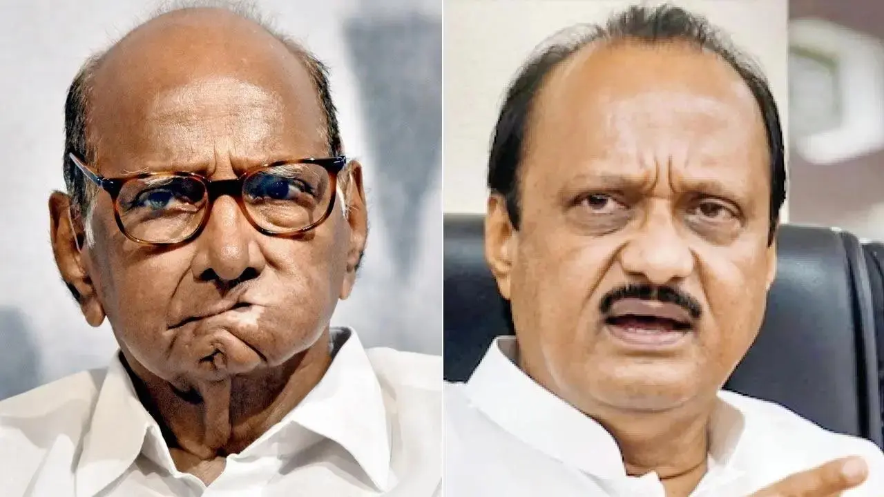 NCP vs NCP battle: Ajit Pawar's outfit beats rival faction in 29 seats