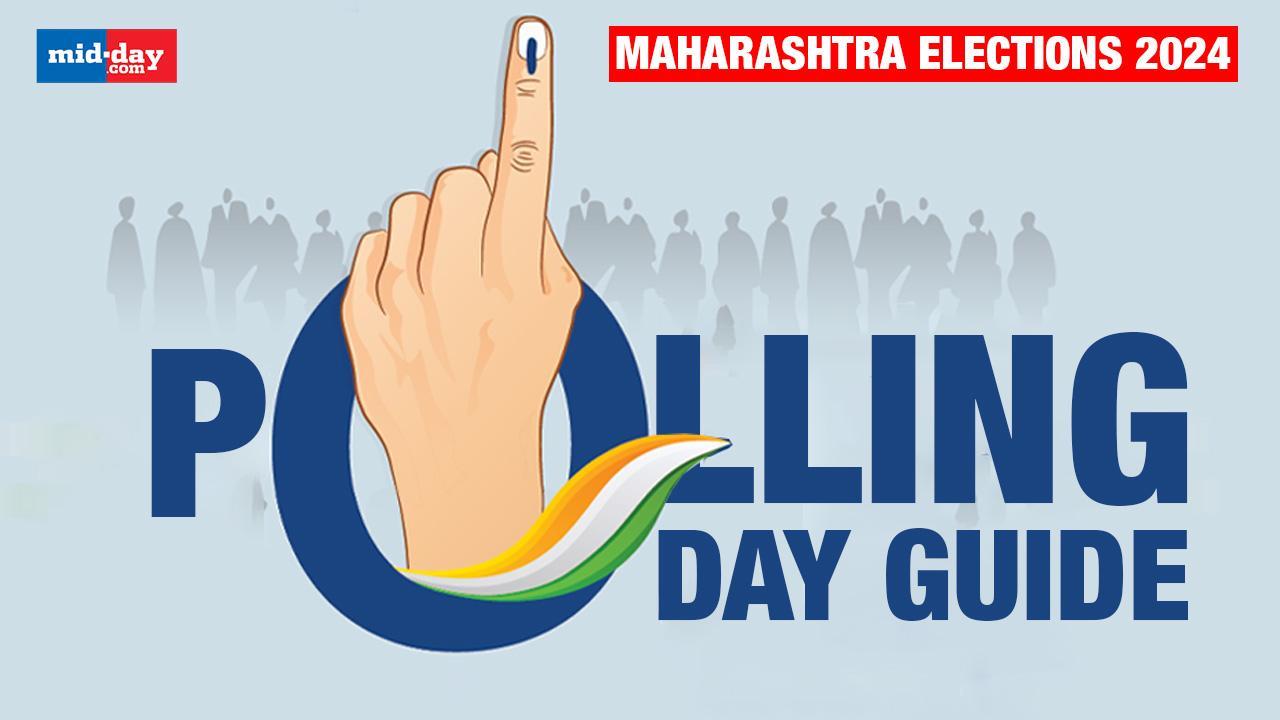 Maharashtra Assembly Elections 2024: Key Things to Know Before You Vote