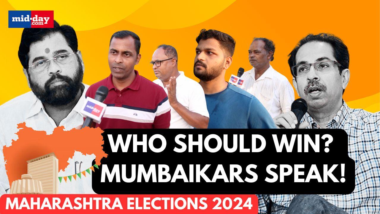 Maharashtra elections 2024: Mumbaikars speak on who they will vote and why?