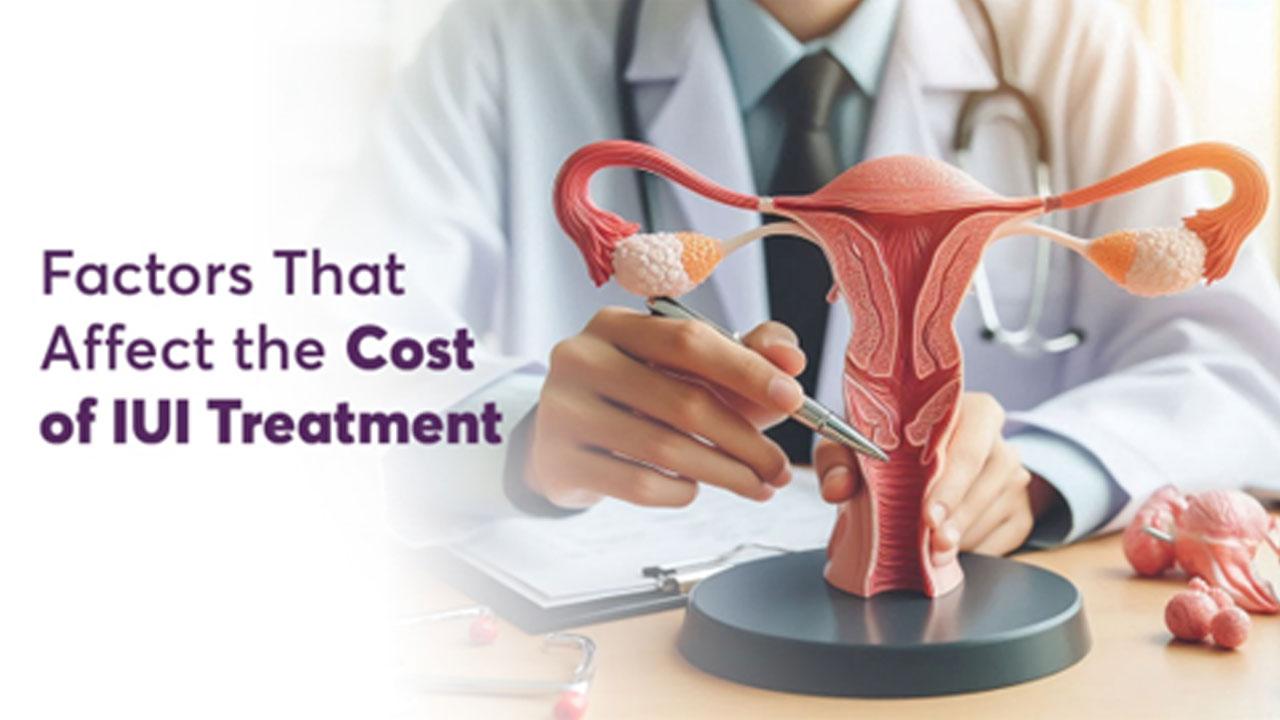 Factors That Affect the Cost of IUI Treatment