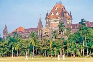  Bombay High Court grants six-month bail to pregnant woman in drug case