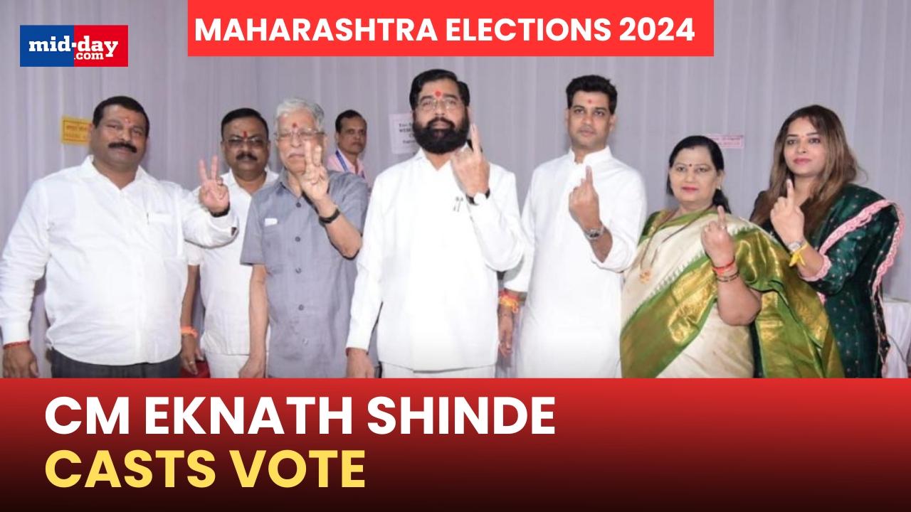 Maharashtra Elections 2024: CM Eknath Shinde casts vote - Watch video