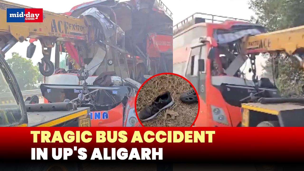 UP Bus accident: Major bus accident on Yamuna Expressway kills five