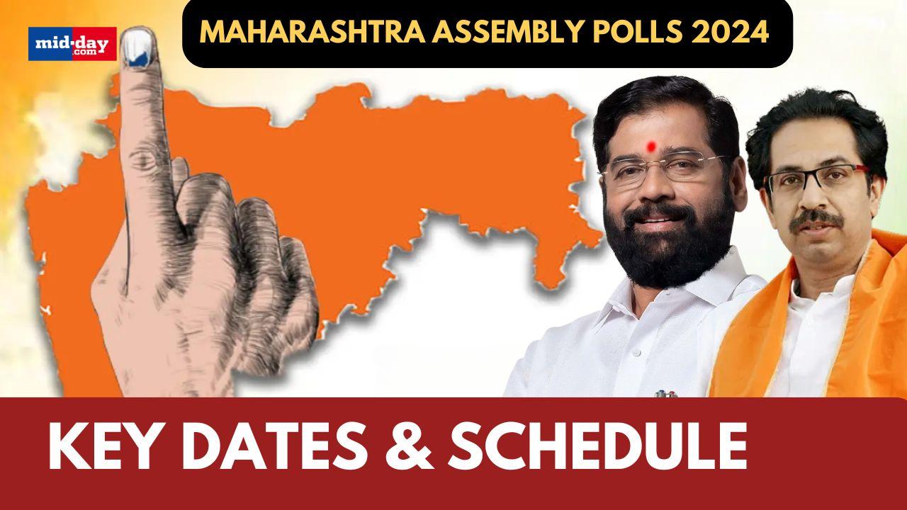 Maharashtra Assembly Polls 2024: ECI announces schedule