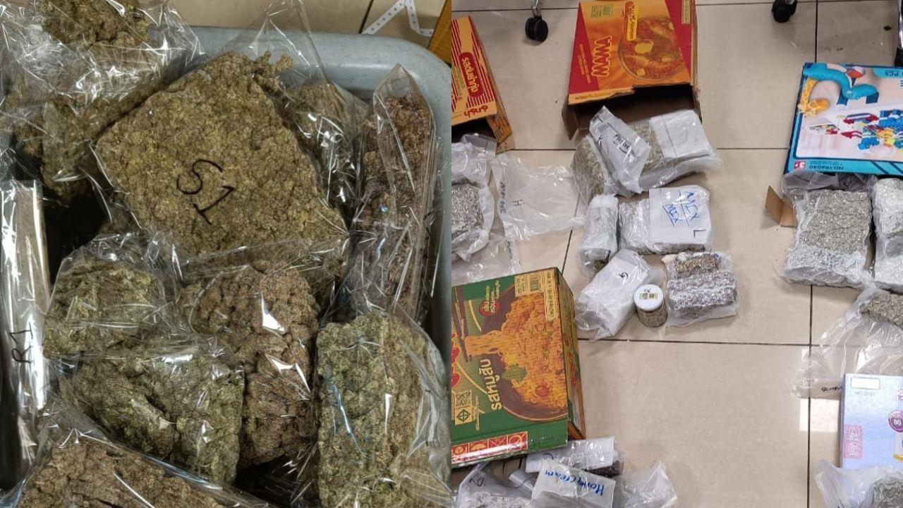 Mumbai Customs seize over Rs 8 crore worth of marijuana concealed in toys, food