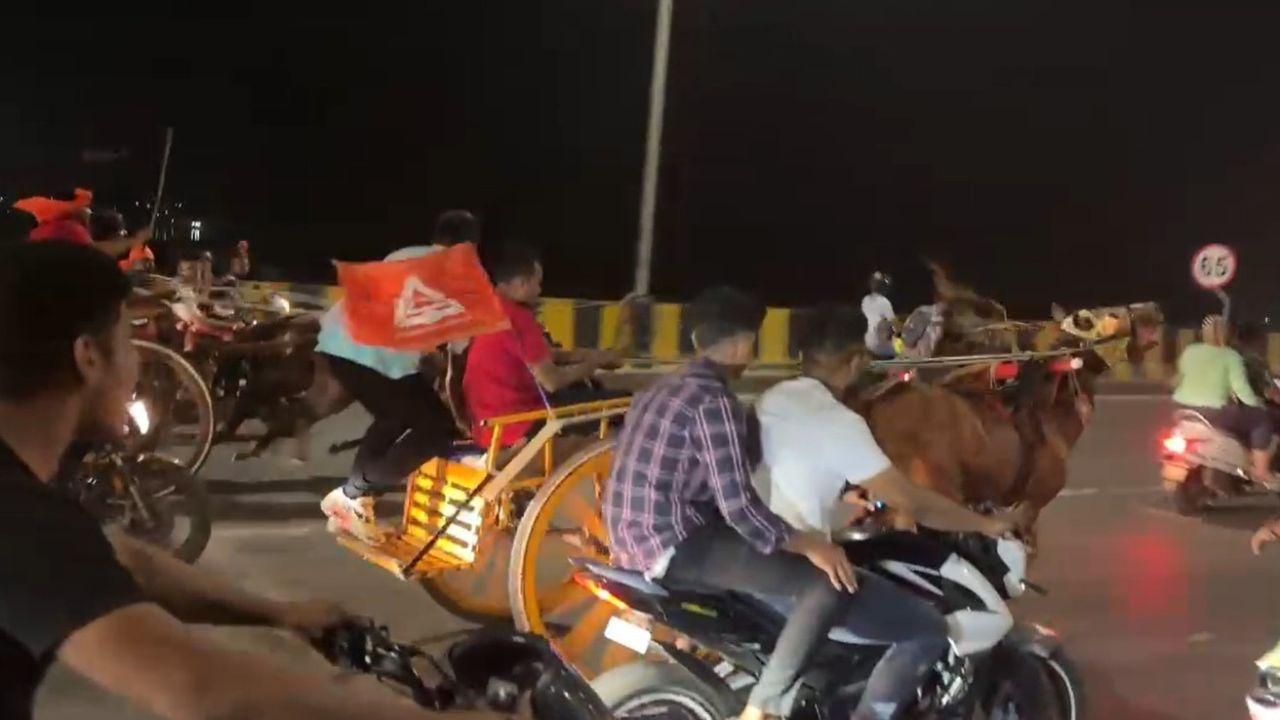 Mumbai: MBVV Police initiates action against illegal horse cart race after PETA complaint