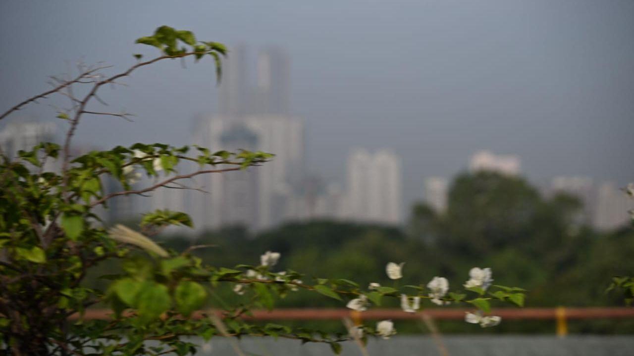 Mumbai weather updates: Temperature at 33.8 deg C, AQI remains 'good'