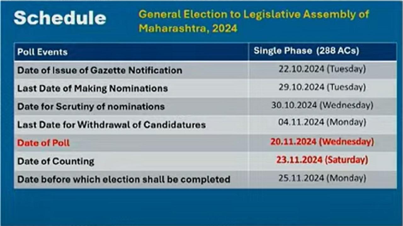 2024 Maharashtra Assembly Election dates announced: All eligible voters from 'Pa