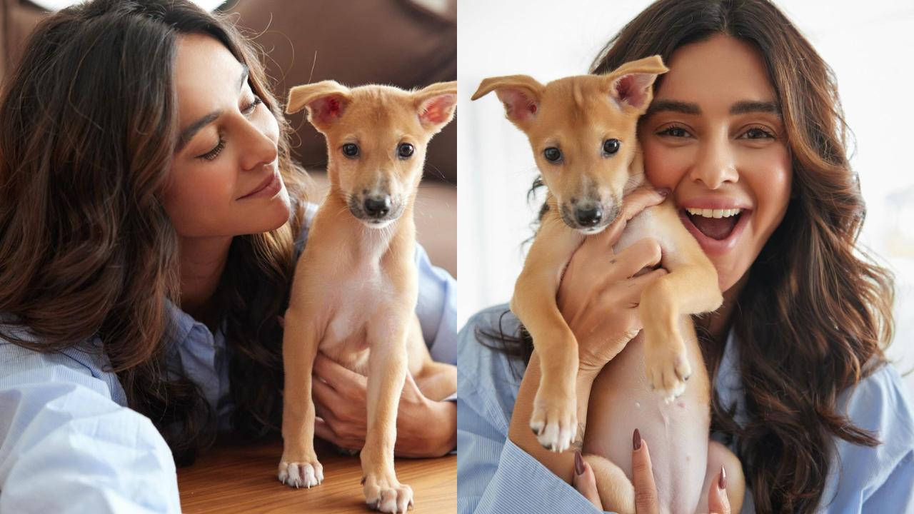 Meet Gigi, the little rescue pup bringing big joy to Shibani and Farhan Akhtar