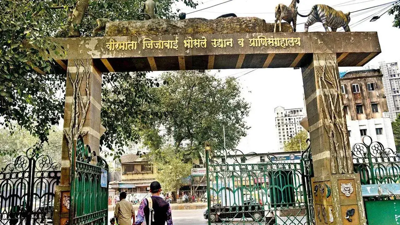 Steep hike in parking charges for cars and bikes at Byculla zoo in Mumbai