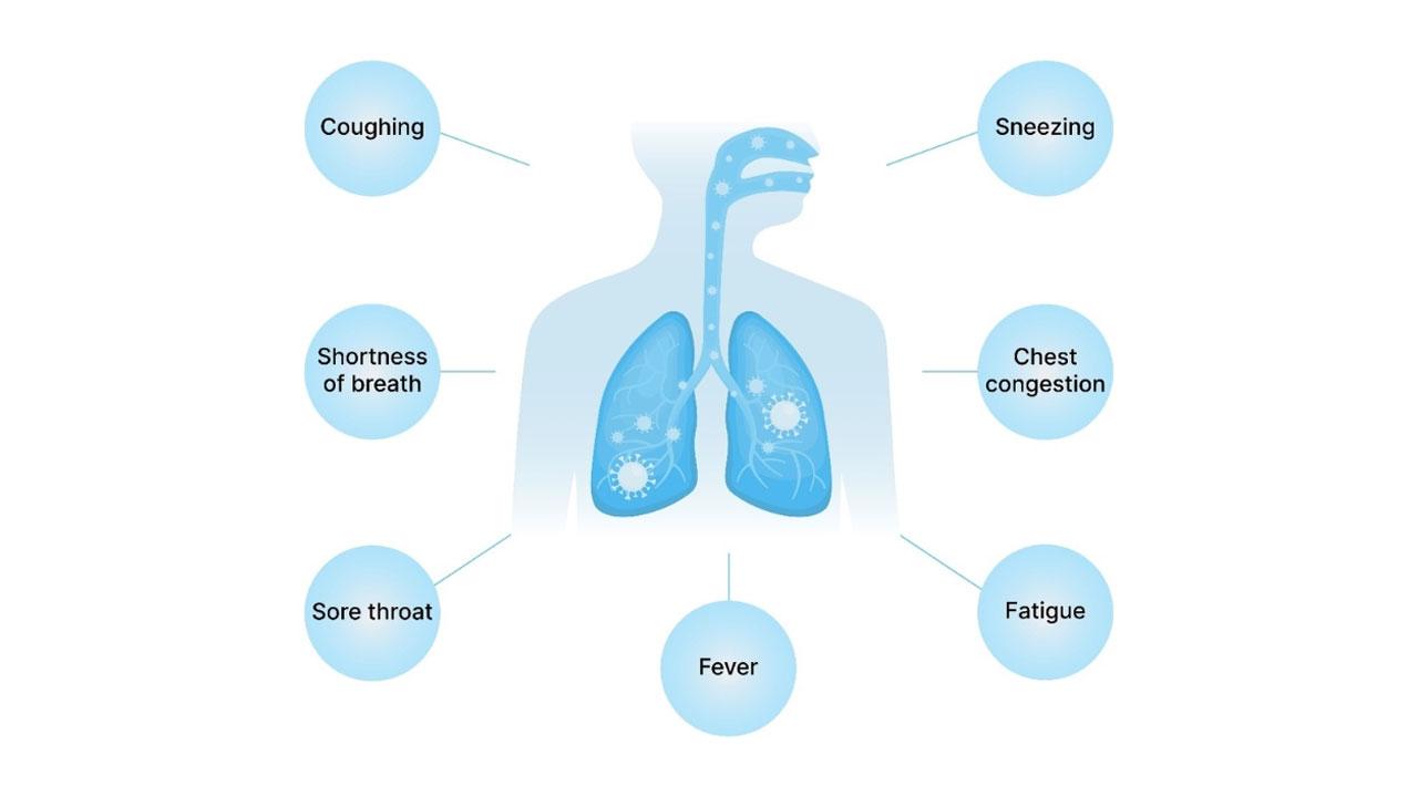 Surging Respiratory Illnesses: The Hidden Health Hazards of City Life