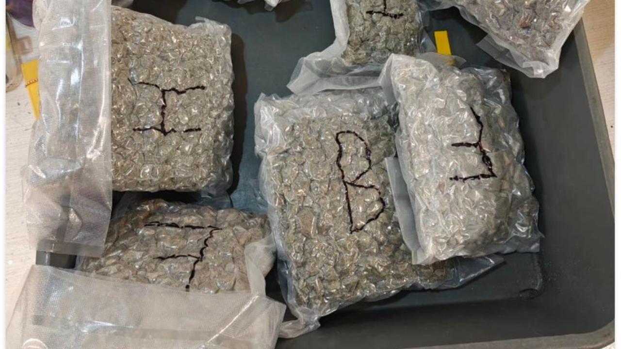 Mumbai Customs seizes marijuana worth over Rs 4 crore, two held